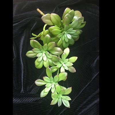 Trailing Echeveria - Artificial floral - hanging succulent stems artificial for rent